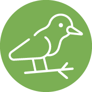 bm icon vogelnaehrtauglich
