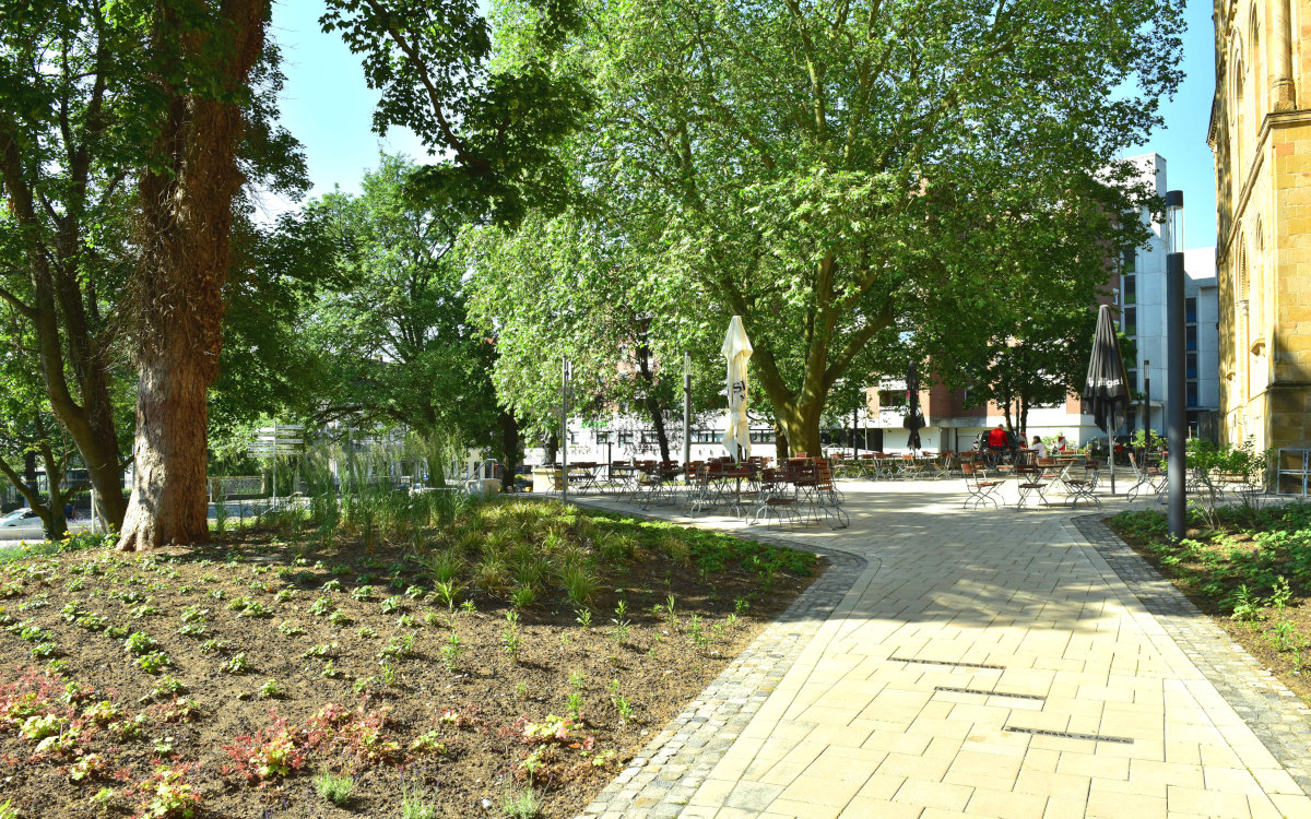 Neuanlage Außenbereich