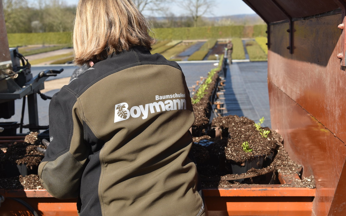 Baumschulmitarbeiterin an der Topfmaschine