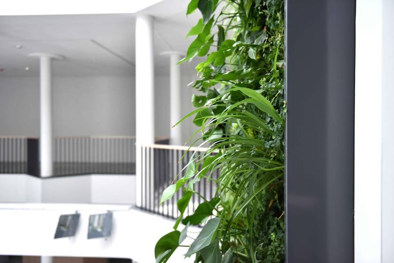 Vertikalbegrünung im Naturkundemuseum Dortmund