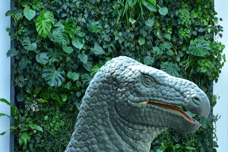 Vertikalbegrünung im Naturkundemuseum Dortmund