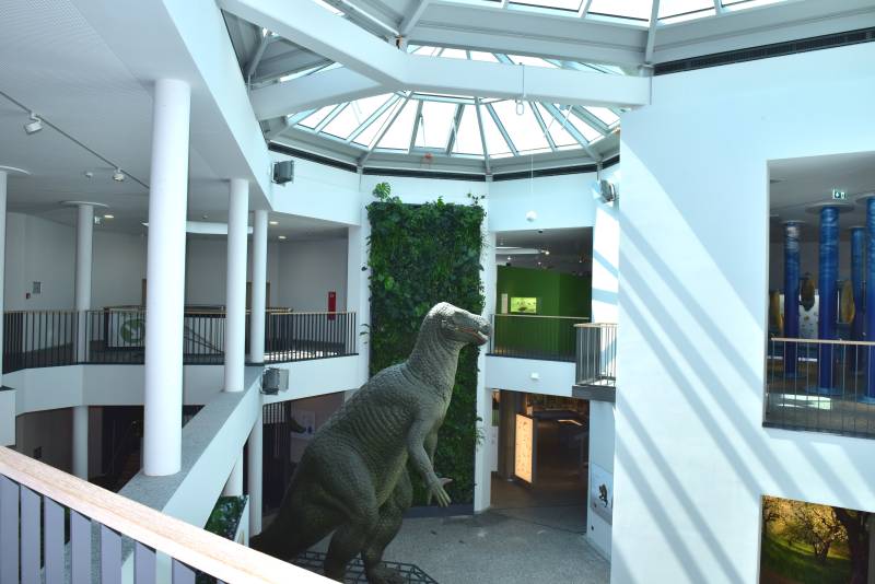 Vertikalbegrünung im Naturkundemuseum Dortmund