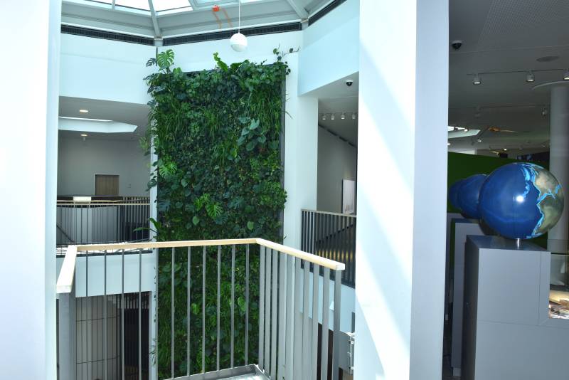 Vertikalbegrünung im Naturkundemuseum Dortmund