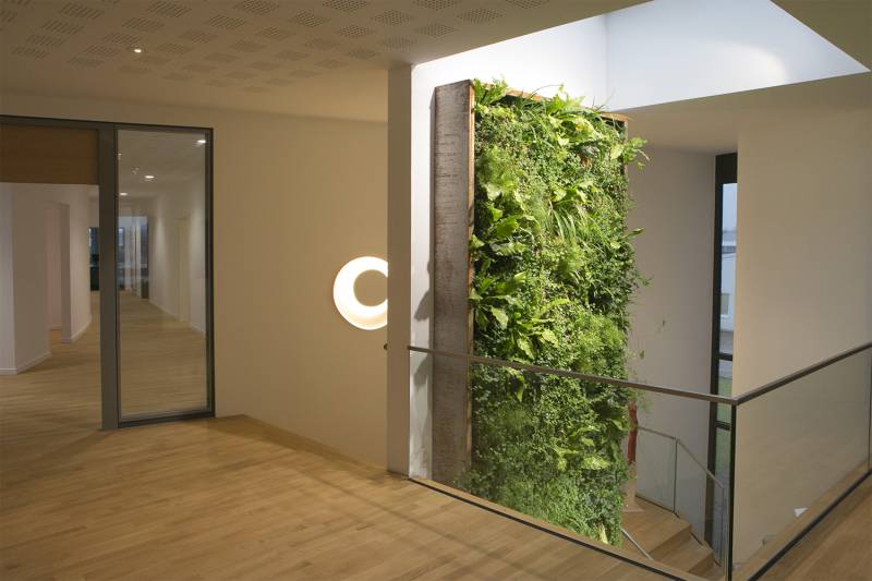 Vertikalbegrünung Modulares System Firma Boymann Experte