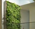 modulares Vertikalbegrünungssystem