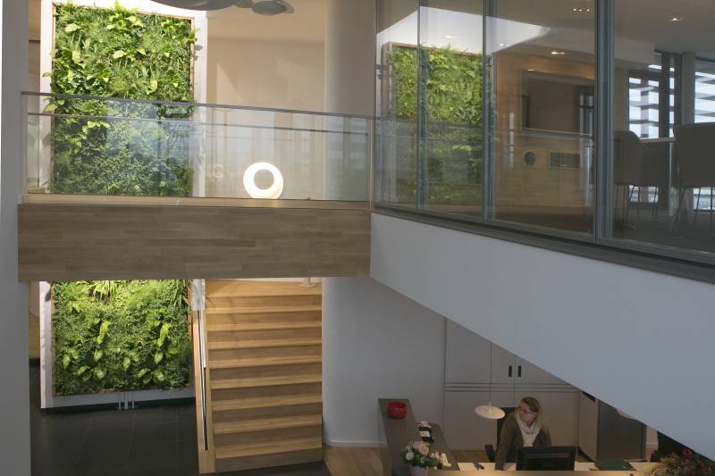 Vertikalbegrünung Eye Catcher 