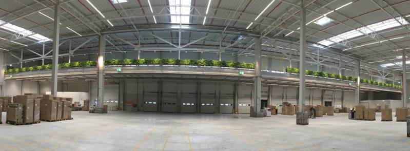 Vertikalbegrünung von Boymann in einer Versandhalle 
