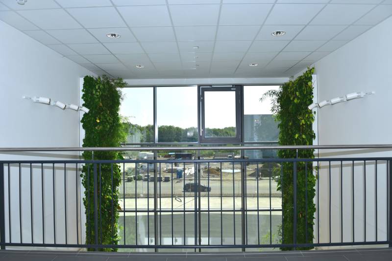 Eine Vertikalbegrünung vom Experten Boymann in einem Foyer