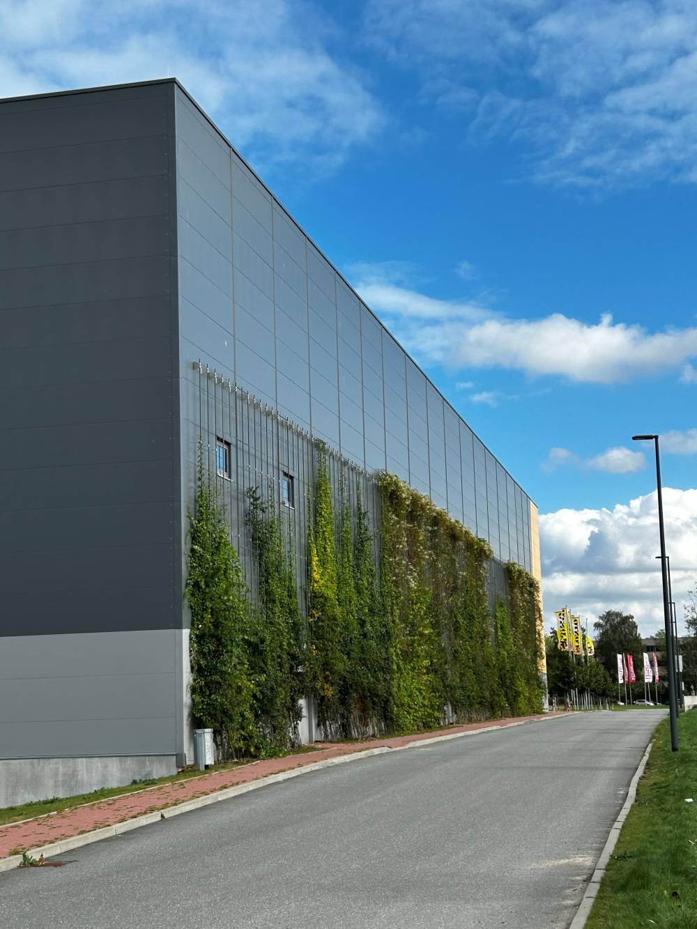 Die Fassadenbgerünung wurde durch die Firma Boymann gebaut. 