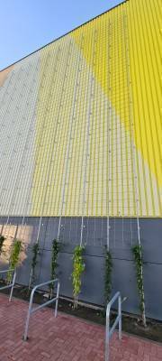 Angelehnt stehende Konstruktion aus Edelstahl. Die Umsetzung erfolgte durch die Experten von Boymann