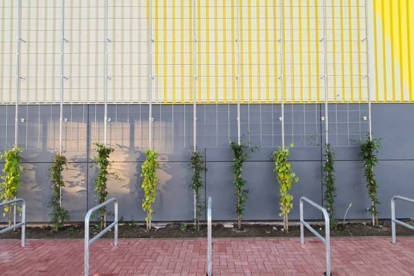 Edelstahl Konstruktionen - flexibel und Langlebig. Experten Boymann