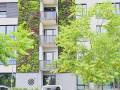 fassadenbegruenung-zukunftspark heilbronn-profi boymann