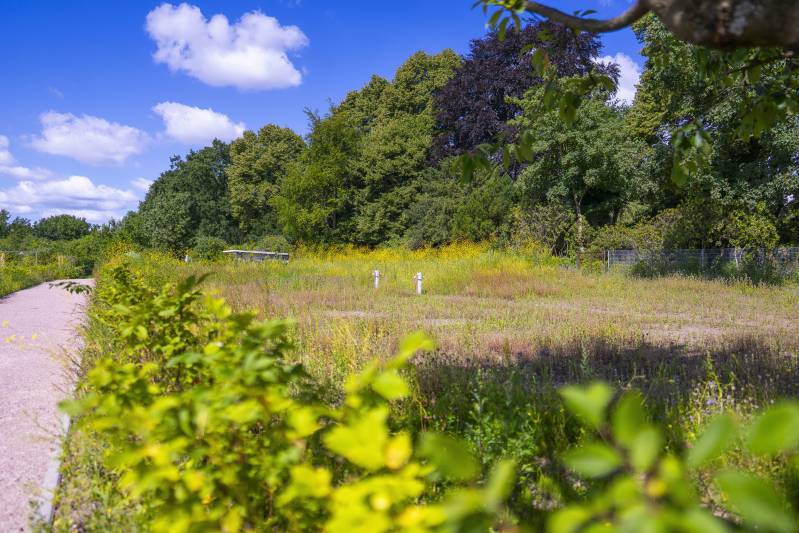 Die Firma Boymann Garten- und Landschaftsbau aus Hamburg hat die Kleingartenanlage in der Leunastraße erstellt.