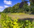 Die Firma Boymann Garten- und Landschaftsbau aus Hamburg hat die Kleingartenanlage in der Leunastraße erstellt.