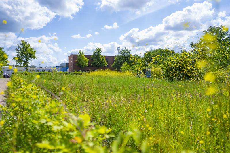 Die Firma Boymann Garten- und Landschaftsbau aus Hamburg hat die Kleingartenanlage in der Leunastraße erstellt.