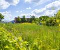 Die Firma Boymann Garten- und Landschaftsbau aus Hamburg hat die Kleingartenanlage in der Leunastraße erstellt.
