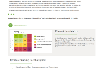 Bild6_original