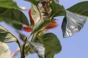 IMG_4957_Web_original