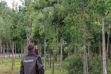 IMG_5110_original