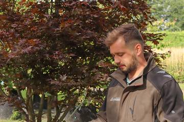 IMG_5115_original