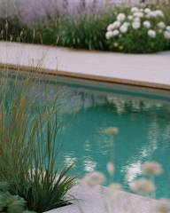 privatgarten-wasser-swimming-pool_original