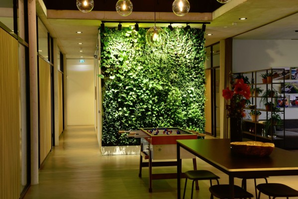 Vertikalbegrünung in einem Foyer