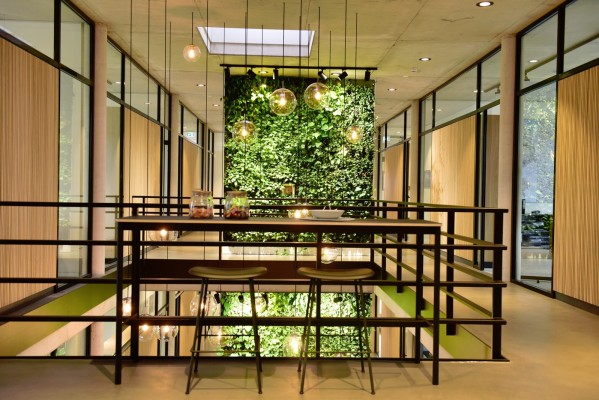 Vertikalbegrünung in einem Foyer