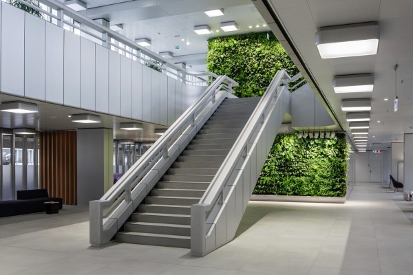 Zweigeschossige Vertikalbegrünung im Raum Berlin