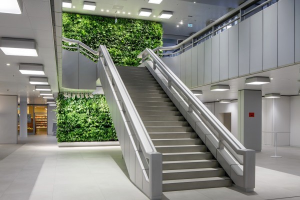 Zweigeschossige Vertikalbegrünung im Raum Berlin