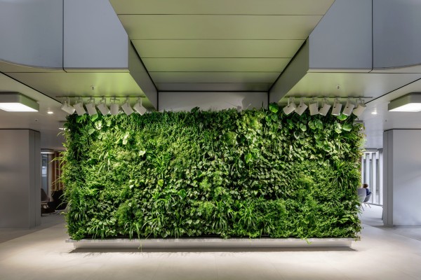Zweigeschossige Vertikalbegrünung im Raum Berlin