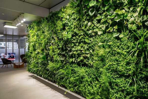 Zweigeschossige Vertikalbegrünung im Raum Berlin