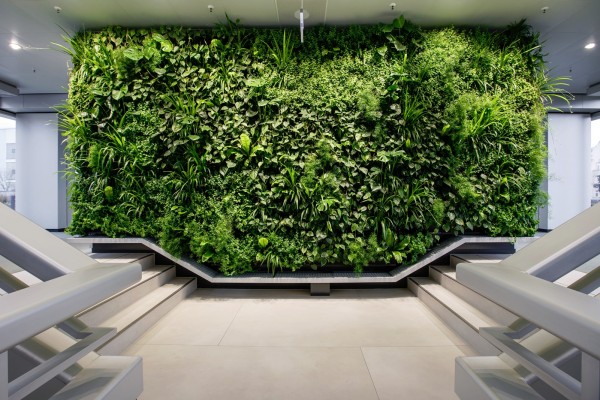 Zweigeschossige Vertikalbegrünung im Raum Berlin