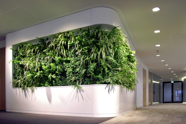 Vertikalbegrünung Bünting Tee, Leer