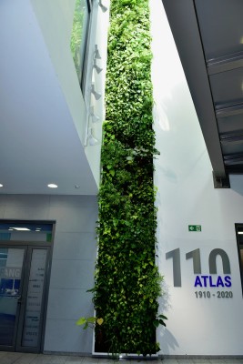 Vertikalbegrünung Firma Atlas in Dortmund