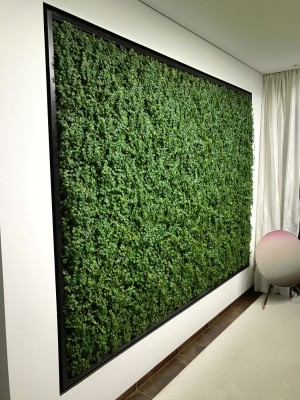 Vertikalbegrünung Bad Tölz