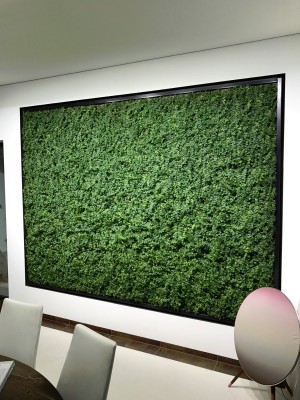 Vertikalbegrünung Bad Tölz