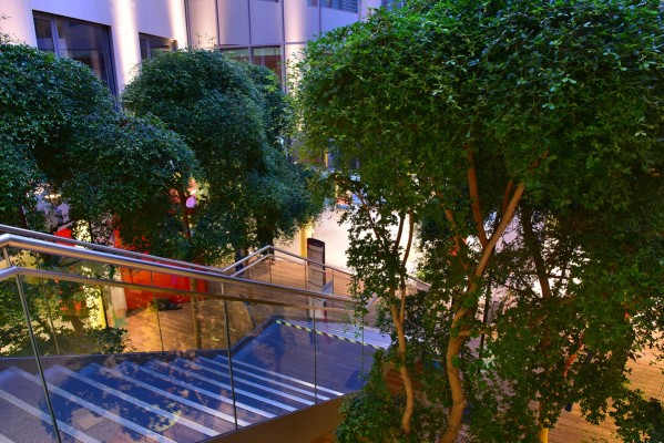 Innenraumbegrünung Klinik Links der Weser, Bremen