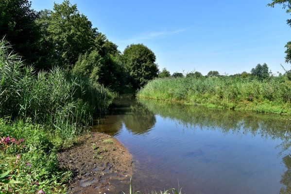 Renaturierung der Dalke in Gütersloh