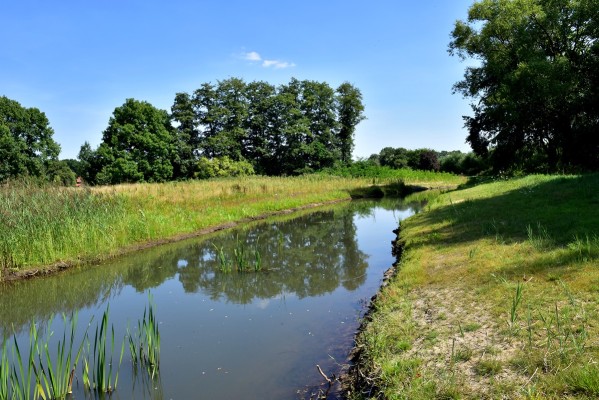 Renaturierung der Dalke in Gütersloh