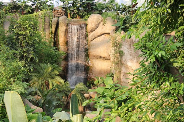 Beregnungsanlage in der Tropenerlebniswelt, Zoo Leipzig