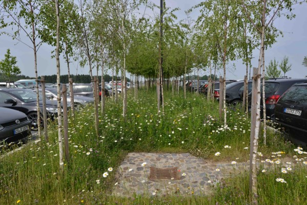 Freiflächen am Solarlux-Campus in Melle