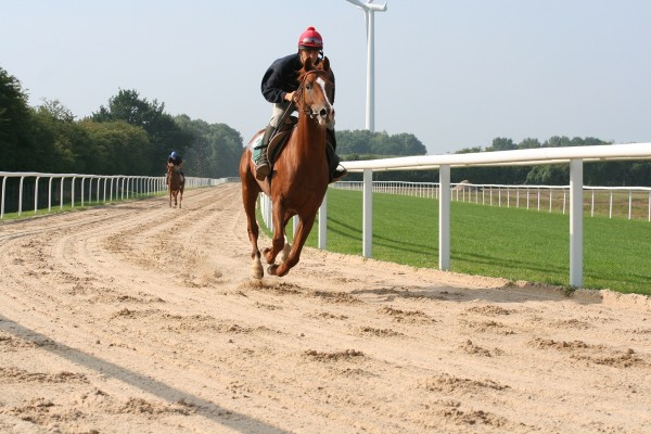 Rennbahn - Trainingszentrum Galoppsport