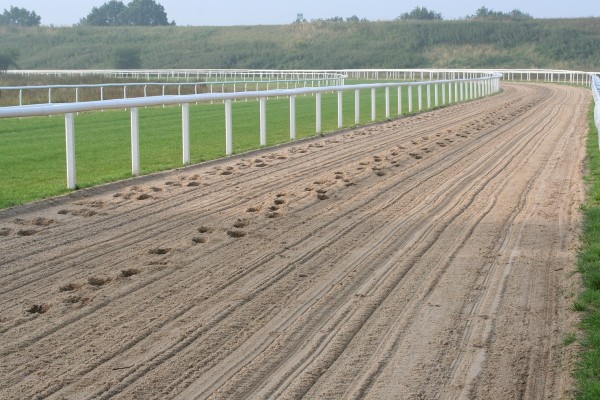 Rennbahn - Trainingszentrum Galoppsport
