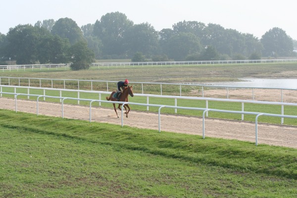Rennbahn - Trainingszentrum Galoppsport