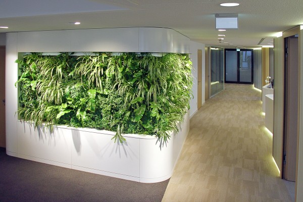 Vertikalbegrünung Bünting Tee, Leer