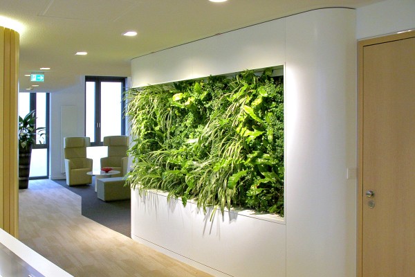 Vertikalbegrünung Bünting Tee, Leer