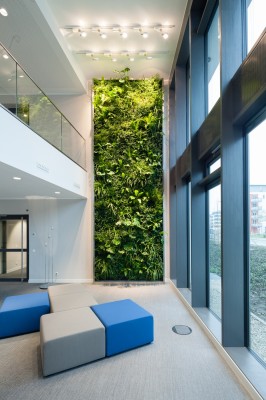 Vertikalbegrünung München