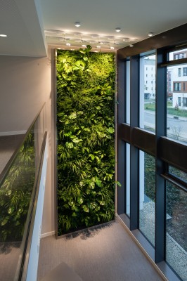 Vertikalbegrünung München