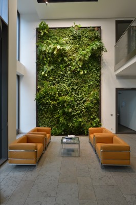 Vertikalbegrünung - SCOR, Köln