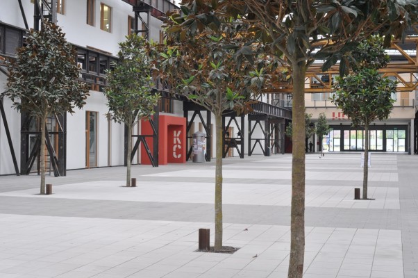 Innenraumbegrünung - Hochschule Osnabrück, Standort Lingen